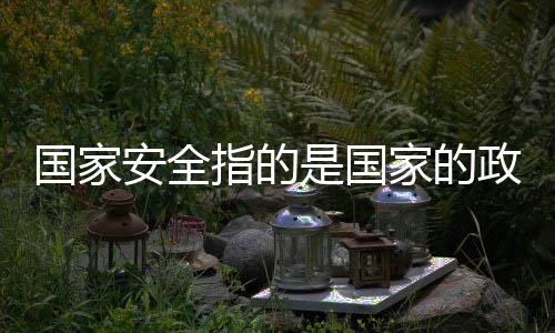 國家安全指的是國家的政治安全和軍事安全