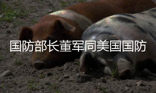 國防部長董軍同美國國防部長視頻通話
