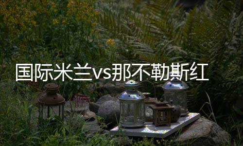 國際米蘭vs那不勒斯紅黃牌停賽情況