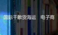 國際干散貨海運　電子商務難有作為