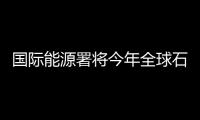 國際能源署將今年全球石油日均需求量預期上調17萬桶