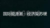 國(guó)際能源署：經(jīng)濟(jì)復(fù)蘇緩慢削弱原油需求增長(zhǎng)