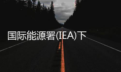 國(guó)際能源署(IEA)下調(diào)今年全球石油需求增長(zhǎng)預(yù)測(cè)