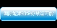 國際能源組織稱禁運可能將導致伊朗原油出口明顯下降