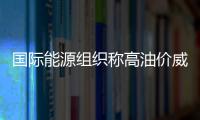 國際能源組織稱高油價威脅全球經(jīng)濟(jì)復(fù)蘇