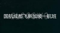 國航成都飛新加坡一航班發動機起火 現已平安降落