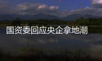 國(guó)資委回應(yīng)央企拿地潮 78家企業(yè)將退出地產(chǎn)