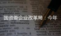 國資委企業(yè)改革局：今年穩(wěn)步推進(jìn)化工、鋼鐵等領(lǐng)域央企戰(zhàn)略性重組