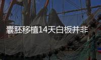 囊胚移植14天白板并非失敗？胚胎不在才真的沒希望