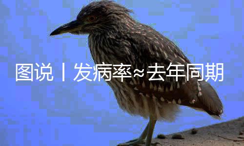 圖說丨發病率≈去年同期的23倍！八問百日咳為你解疑