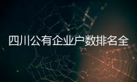 四川公有企業(yè)戶數(shù)排名全國第一