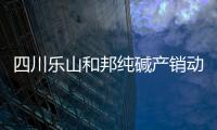 四川樂山和邦純堿產銷動態,企業新聞