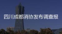 四川成都消協發布調查報告 汽車維修行業總體滿意度不高