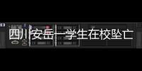 四川安岳一學生在校墜亡，官方通報