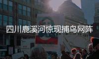 四川鹿溪河驚現捕鳥網陣 村民為防家禽設網