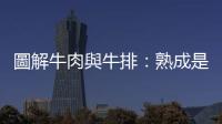 圖解牛肉與牛排：熟成是什麼？沙朗和菲力又是什麼部位？