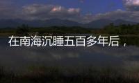 在南海沉睡五百多年后，它們終于出水展出