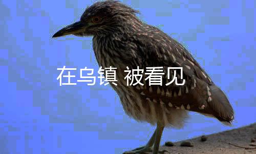 在烏鎮(zhèn) 被看見