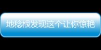 地稔根發現這個讓你驚艷的秘密武器！