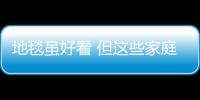 地毯雖好看 但這些家庭不適合