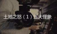 土地之怒（1）三大怪象！都市更新等於亂拆、賤賣你家？｜天下雜誌