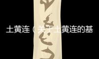 土黃連（關(guān)于土黃連的基本情況說(shuō)明介紹）