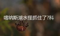 喀納斯湖水怪抓住了?科學(xué)家解密水怪真相