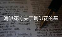 喇叭花（關(guān)于喇叭花的基本情況說明介紹）