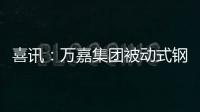 喜訊：萬嘉集團被動式鋼木裝甲進戶門實現新突破，并通過國家檢驗！