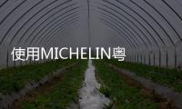 使用MICHELIN粵語翻譯，“米芝蓮”被判賠償“米其林”1000萬元