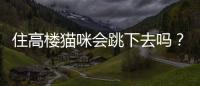 住高樓貓咪會跳下去嗎？住高層貓會跳窗嗎