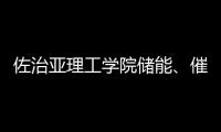 佐治亞理工學院儲能、催化領域教授簡介 – 材料牛