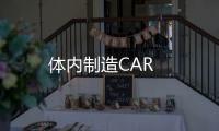 體內制造CAR