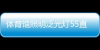 體育館照明泛光燈55直播體育直播體育商業綜合體