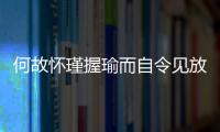 何故懷瑾握瑜而自令見(jiàn)放為翻譯 何不懷瑾握瑜而自令見(jiàn)放為解釋