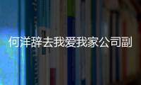 何洋辭去我愛我家公司副總裁職務