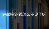 余額寶的錢(qián)怎么不見(jiàn)了呀（余額寶的錢(qián)怎么不見(jiàn)了）