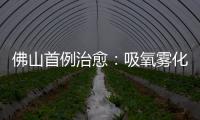 佛山首例治愈：吸氧霧化抗病毒防感染，由專家組每天制定治療方案