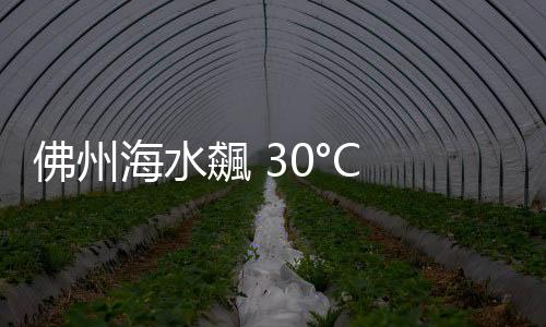 佛州海水飆 30°C 高溫，游泳像在泡澡