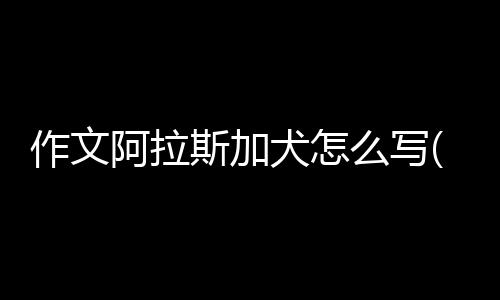 作文阿拉斯加犬怎么寫(廣州哪里有賣阿拉斯加犬)