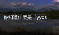 你知道什麼是「yyds」嗎？一位追星族如何看待中國流行語入侵