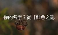 你的名字？從「鮭魚之亂」回顧西方身份識別的歷史