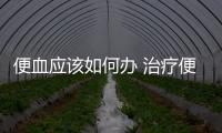 便血應該如何辦 治療便血的小妙招