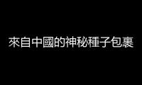 來自中國的神秘種子包裹，種下它會發生什麼事？又有哪些謠言？