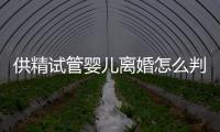 供精試管嬰兒離婚怎么判看這，會不會判給女方一目了然
