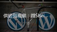 供給側(cè)觀察：蹭Shein深度，談?wù)劷】惦U(xiǎn)的抓手和觸角