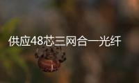 供應(yīng)48芯三網(wǎng)合一光纖配線箱圖文詳細(xì)解析