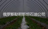 俄羅斯韃靼斯坦石油公司計劃在哈薩克斯坦合作建設輪胎廠