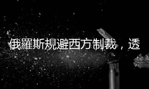 俄羅斯規(guī)避西方制裁，透過(guò)中亞、高加索鄰邦輸入美歐晶片軍民貨品