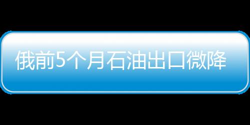 俄前5個月石油出口微降天然氣出口大增